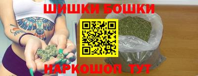 молекула духа Будённовск