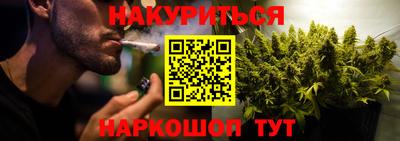 молекула духа Будённовск