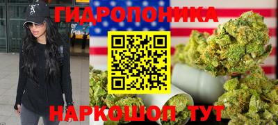 молекула духа Будённовск