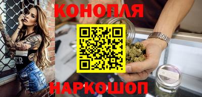 молекула духа Будённовск