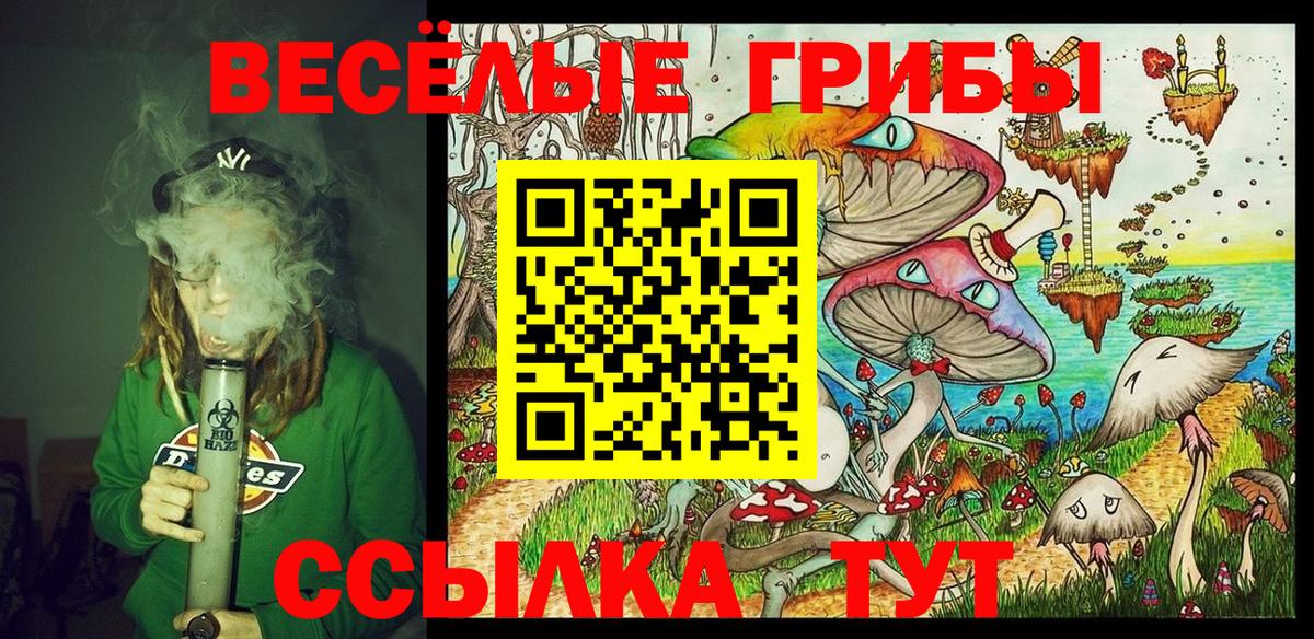 Псилоцибиновые грибы ЛСД  Вход с VPN  Сызрань 