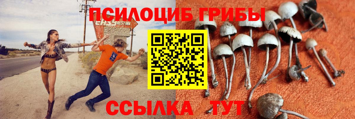 Галлюциногенные грибы GOLDEN TEACHER Сызрань